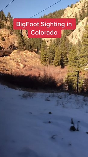 It’s the way he shakes his stick for me #bigfoot #sasquatch #sighting #colorado #mountain #mountainviews