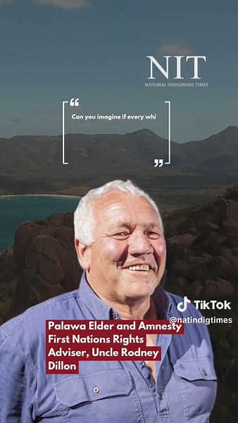 NSW Government Urged to Investigate Aboriginal Children Segregation