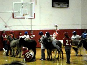 Donkey Basketball Pandemonium At Riverheads HighSchool