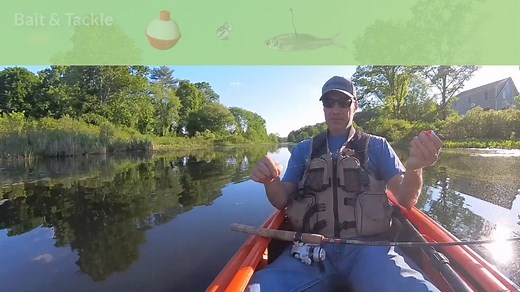 Chain Pickerel are the original apex predator in CT. They are also one of the 33 species on the "Youth Fishing Passport - Fishing Challenge". Check out a few tips to add this species to your list. To learn more about our free youth fishing passport program (ages 15 and younger), please visit our web page at https://portal.ct.gov/deep/fishing/care/youth-fishing-passport Check our the leaderboard at https://ctdeep.maps.arcgis.com/apps/dashboards/4389e52141e343dbbf7bbefd8db6297b | Connecticut Fish