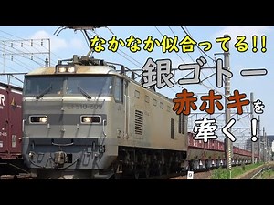 銀ゴトー【赤ホキを牽く!!】 ～稲沢発着風景～