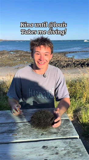 JManGo on Instagram: "Hello Louis, I really like your content. I’m wondering if you are free at some point in the next couple months to take me diving? @Louis #jmango #newzealand #bluff #southland #kina"