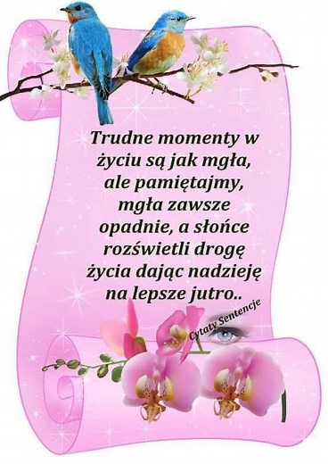 Zofia Adamczyk on Reels