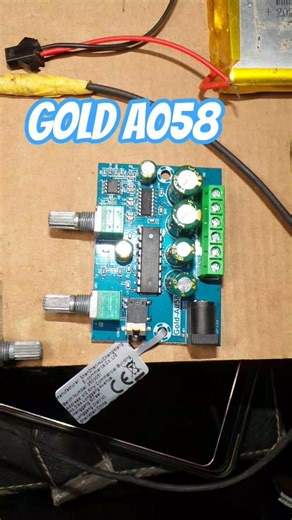 GOLD AO58 & PAM 8403#temu#temuhaul#202