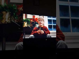 Home Alone 1990 (35th Anniversary) Harry cover in chicken fur/ Spider on Marv face