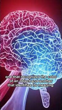 🎯 Stroop Effect: Why We Misread Words in Color in 60 Sec #Shorts