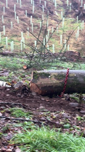 Efficient Forestry Equipment: Choker Chains and Winches