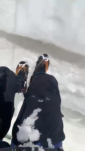 16 reactions | Crevasse Rescue! ️❄️⛏️甆⛑️ Train hard. Climb easy....