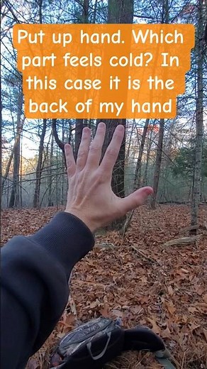 Hunting Tips - How to tell which direction the wind is blowing