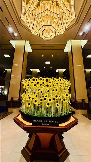 知らなかった #2026 #帝国ホテル #ロビー装花 #ひまわり #夏の思い出 #東京旅行 #東京帝國飯店 #tokyotravel #imperialhotel #sunflowers