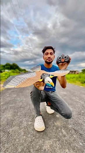 Remote control bird flying test and battery fitting