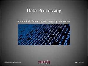 Automatic Data Processing in Excel
