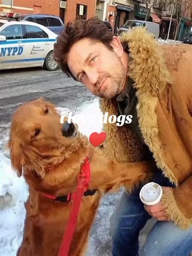 Gerard Butler's Love for Dogs: A Heartwarming Tribute