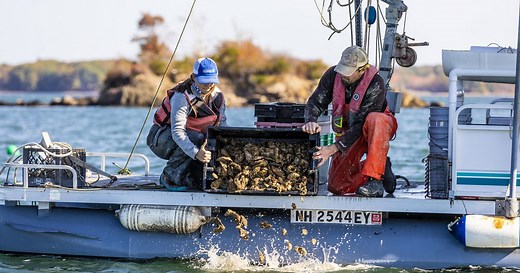 Shellfish Growers Climate Coalition