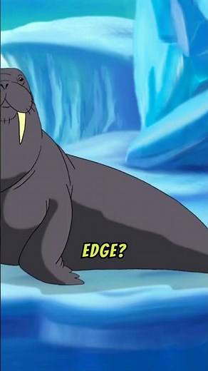 Elephant Seal vs Walrus ocean Giants Showdown