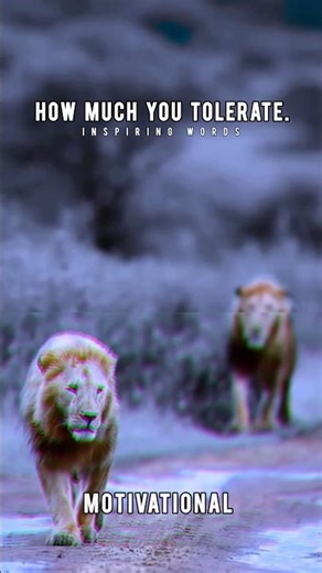 Tolerance is a lesson — make sure you’re teaching the right one. #shorts #motivation