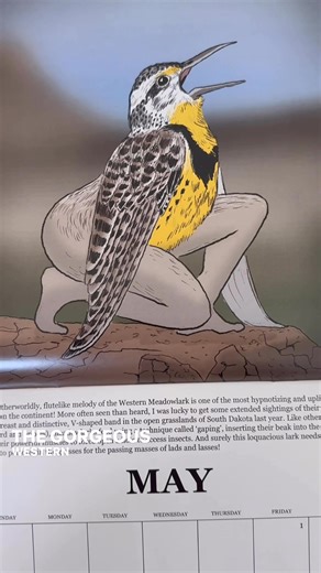 I can’t wait to show you the whole thing — and please let me know if you have any constructive criticism, as I’m always trying to improve my realism. Only on my website, www.tommysiegel.net | Tommy Siegel