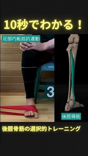 10秒でわかる！選択的後脛骨筋トレーニング #理学療法 #足病学 #ptタイガー #日本足病学協会