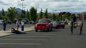 Cowboy lassos suspected thief