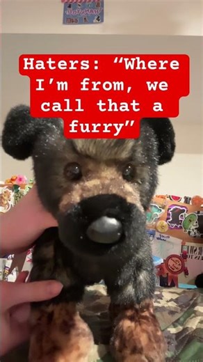 No hate to furries! They’re awesome! #essa #essasarevalid #furry #emotionalsupportstuffedanimal