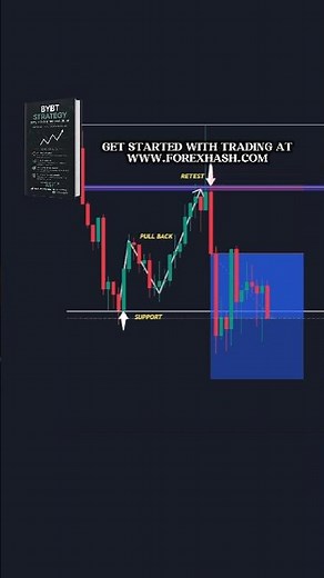 The Best Forex Trading Tips For Beginners