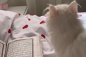 96K views · 4.7K reactions | Sometimes Allah close all the doors and...