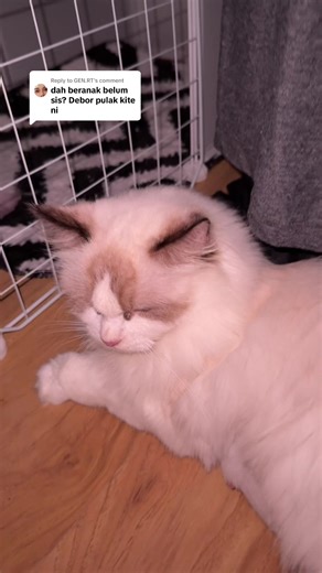 Replying to @GEN.RT masih dalam ward bersalin 😢