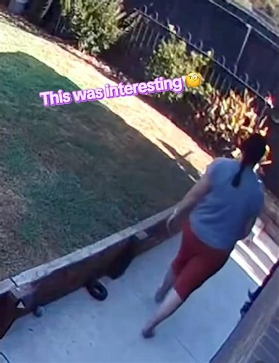 Snake Chasing Human 😮 What is going on #wild #youtube #shorts #reels #wild #fyp #edit #real