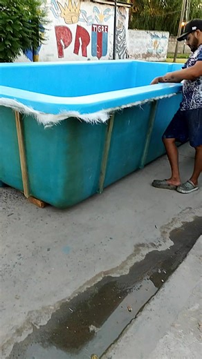 Pileta Nueva Terminada: 10 de 10 en Diseño y Calidad