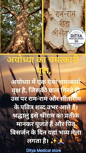 अयोध्या का चमत्कारी वृक्ष | Ditya Medical Store