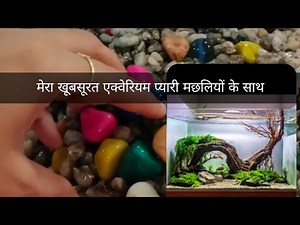 एक्वेरियम साफ करना इतना आसान होता है क्या ???🤔🥱🤪🧐🤨#vlog #vlogs #vlogger