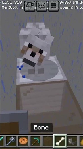 Wolf VS Skeleton & Wither Skeleton | Minecraft