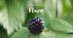 Pursuit of Flavor