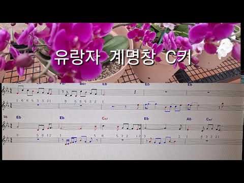 유랑자 (윤수일 노래) 계명창 C키