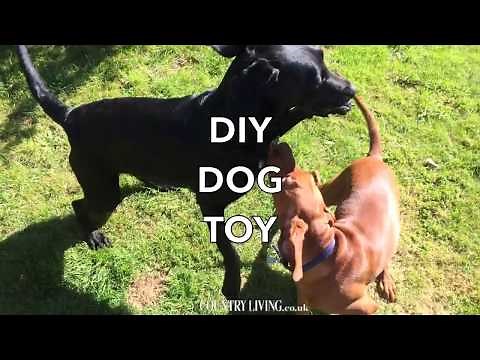 How to make a No Sew Denim dog toy