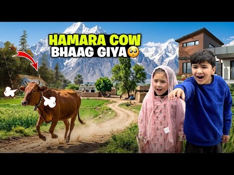 Hmara Qurbani Ka Janwar Bhaag Giya 😆 Alhamdulillah Ek Or Soda Kar Lia