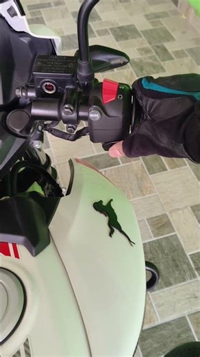 Apache 160 double disc full modified #apache160 #subscribe #apache1604v #tvs #shorts #explorepage