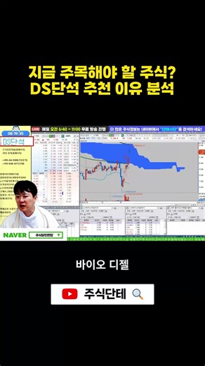 지금 주목해야 할 주식 DS단석 추천 이유 분석