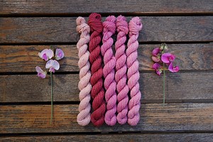 Naturally Dyed DK Weight Wool Yarn 5x 20 G Mini Skeins - Hand Dyed Sock Yarn Set - Organic Merino, Non-superwash, Plastic Free - Etsy Canada