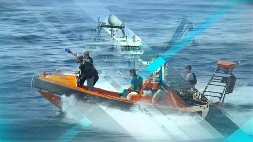 Discover the secrets hidden beneath the waves in this groundbreaking adventure that pushes the limits of exploration. #Oceanxplorers, Wednesdays at 19:00, DStv Channel 181 | National Geographic Africa