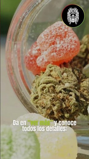¿Cómo hacer gomitas de cannabis en casa?