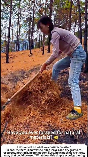 Harvesting the Forest Floor: Gathering Wild Grass 🌳🌿