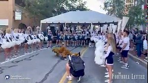 24K views · 482 reactions | You don't have to wait until tomorrow to hear the Nittany Lion play the cowbell or do pushups. The Penn State Cheerleaders and Penn State Lionettes Dance Team joined the Nittany Lion to welcome alumni and friends and kick off the weekend with a downtown pep rally this evening. | Penn State Alumni Association | Facebook