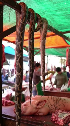 Extreme Wild Meat Market – Hanging Pythons & Exotic Cuts | Shocking HD Scene