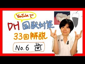 【33回DH国試解説 No.6】歯