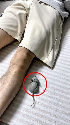 Remote mouse prank #shorts