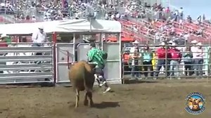 4.6M views · 9.9K reactions | Salva vidas de Rodeio. Estilo livre. bull fighters freestyle. | Profissão Atletas de Rodeio | Facebook