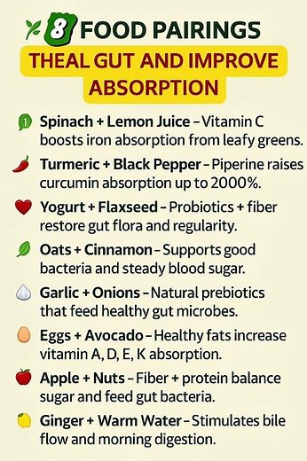 8 Food Pairings That Heal Your Gut & Boost Nutrient Absorption Naturally | Healthy Aging Tips