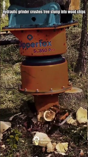 Tree Stump Removal Process Using Hydraulic Forestry Grinder Machine