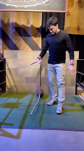 Felipe Neto 🦉 on Instagram: "UP!"